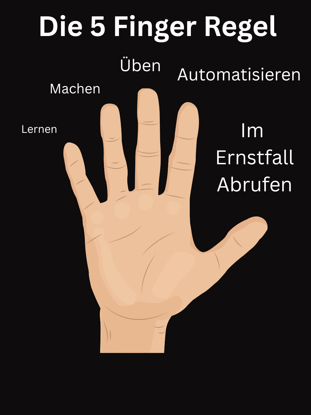 Das 5 Stufen Sytem.png